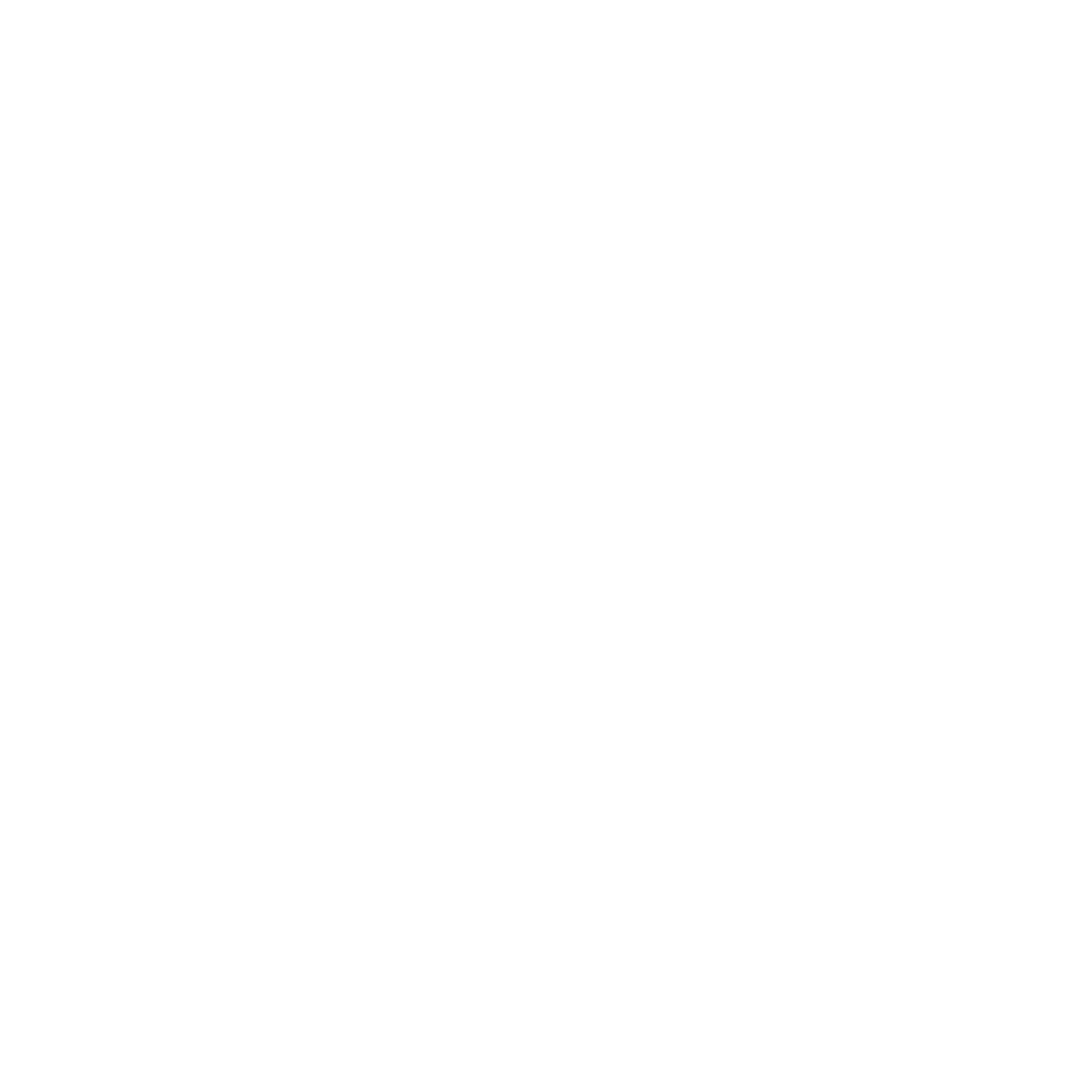 Machlion Logo